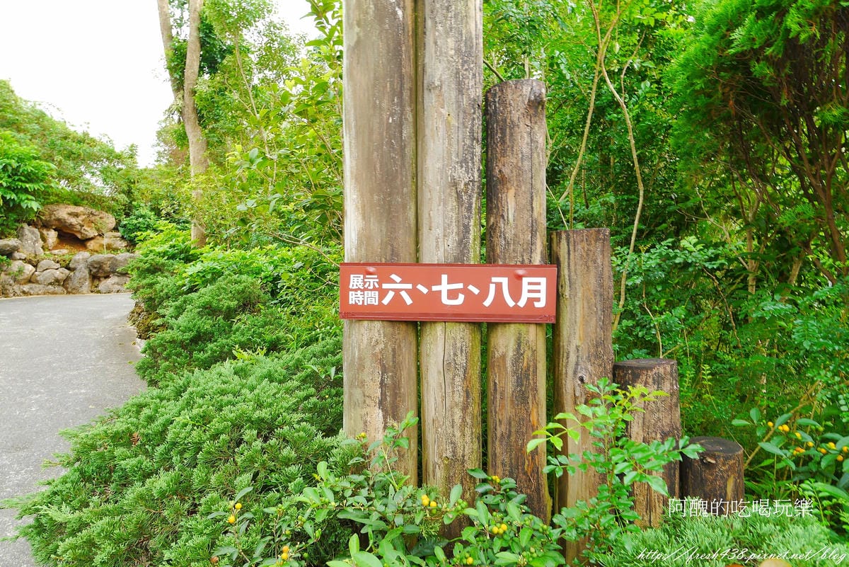 P1800253 P1800253