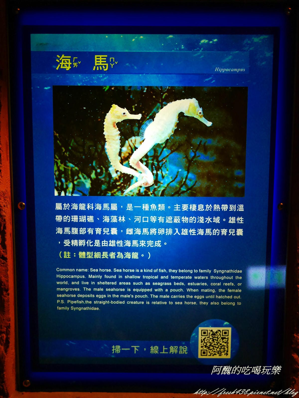 P2040487 P2040487