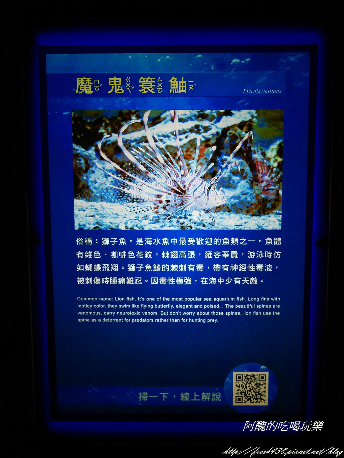 P2040524 P2040524