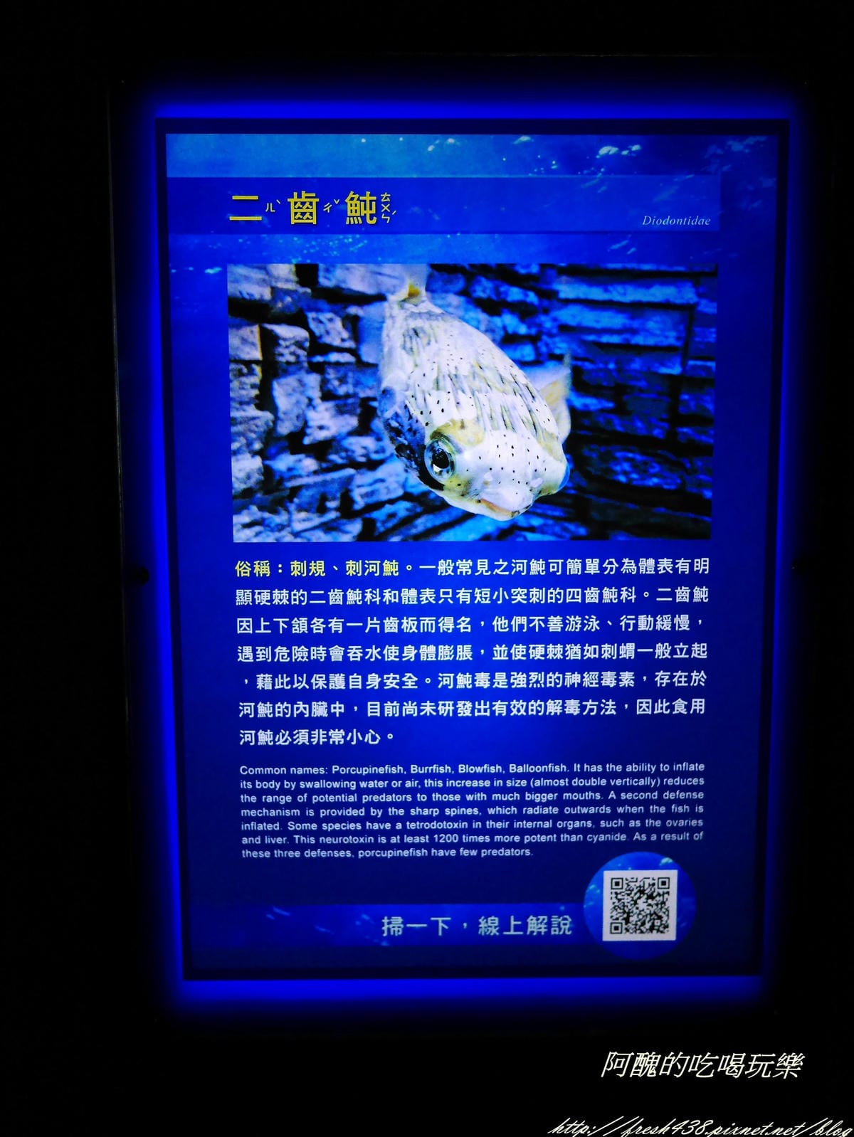 P2040506 P2040506