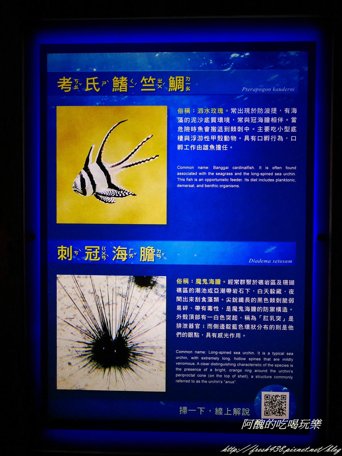 P2040511 P2040511