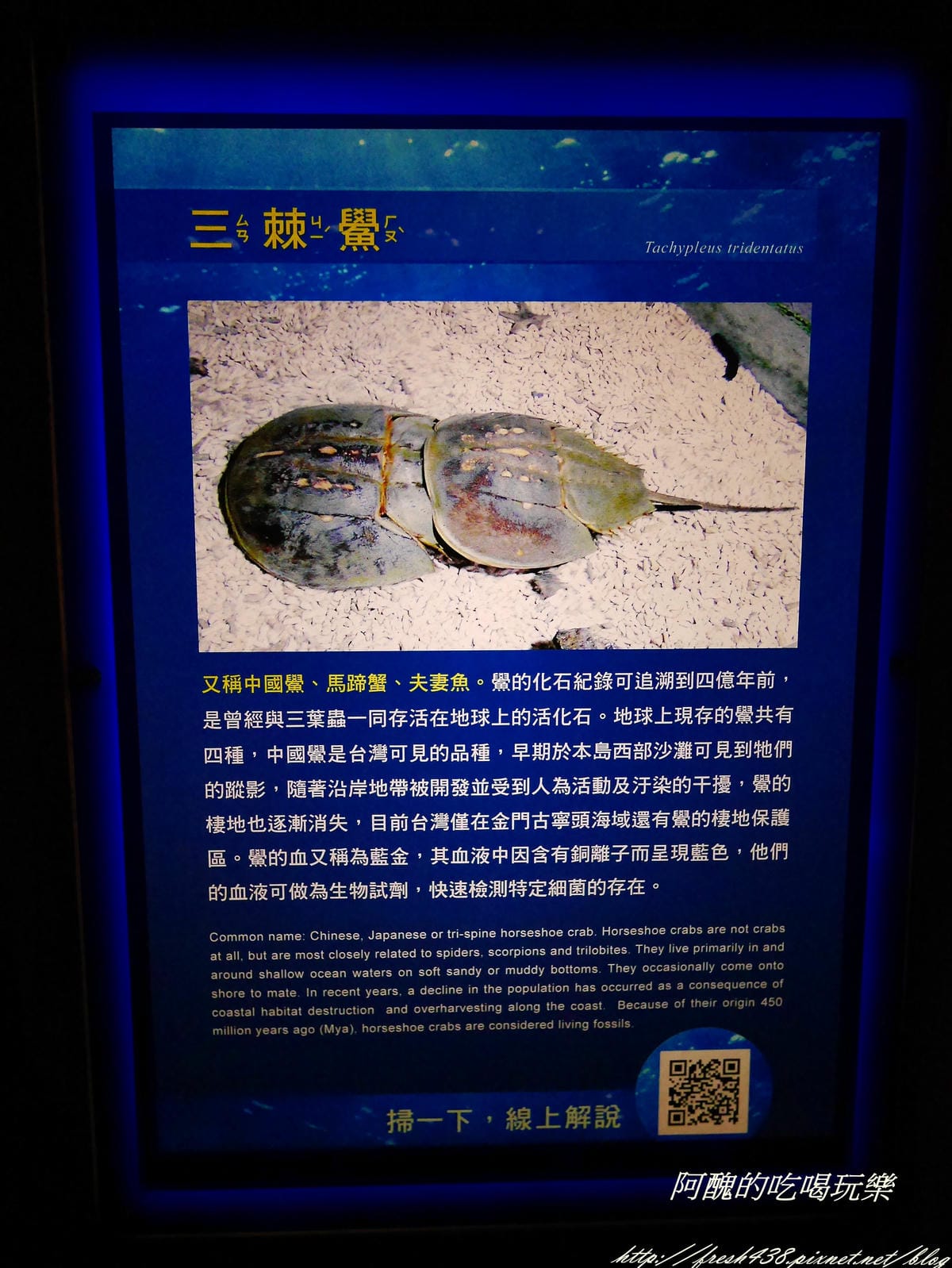 P2040563 P2040563