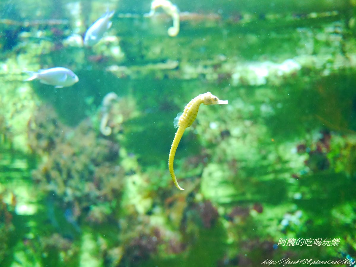 P2040498 P2040498