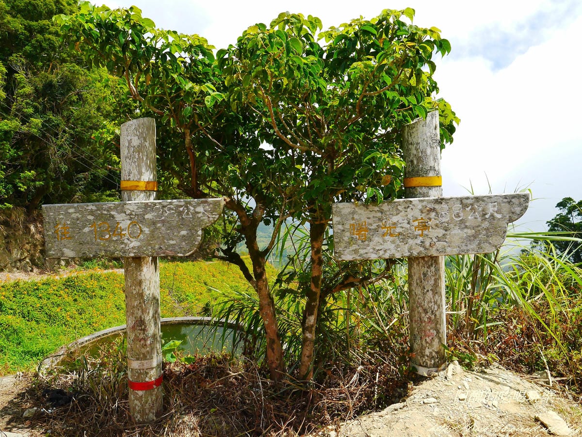 P2090299