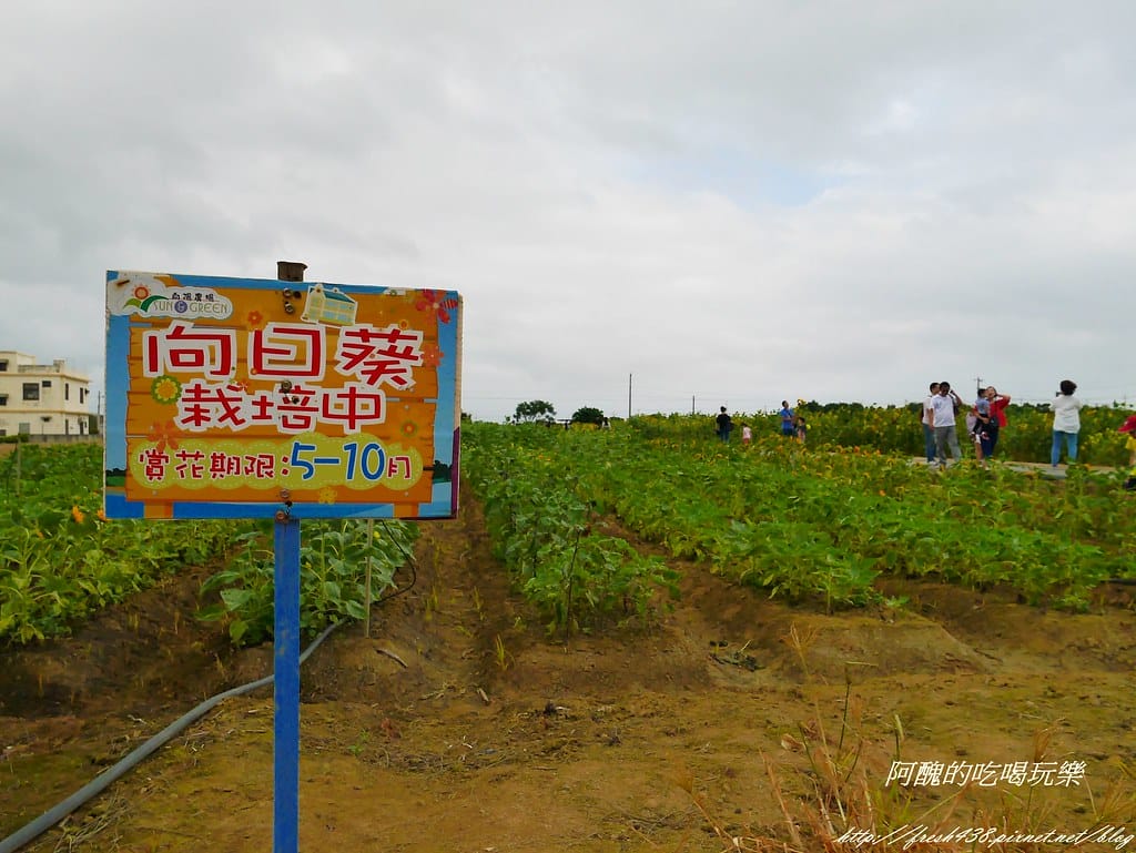 【桃園一日遊景點】向陽農場,免費入園且免費停車,烤肉控窯兼賞花,餵食動物超有趣,親子活動超多元! - 第75張圖 P2120062