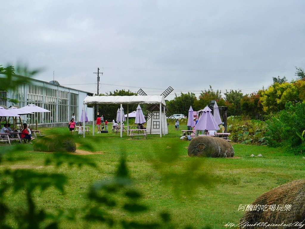 【桃園一日遊景點】向陽農場,免費入園且免費停車,烤肉控窯兼賞花,餵食動物超有趣,親子活動超多元! - 第28張圖 P2120137