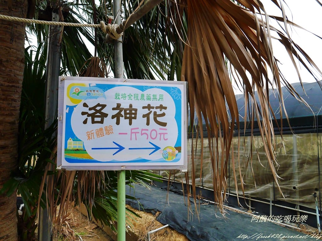 【桃園一日遊景點】向陽農場,免費入園且免費停車,烤肉控窯兼賞花,餵食動物超有趣,親子活動超多元! - 第66張圖 P2120037