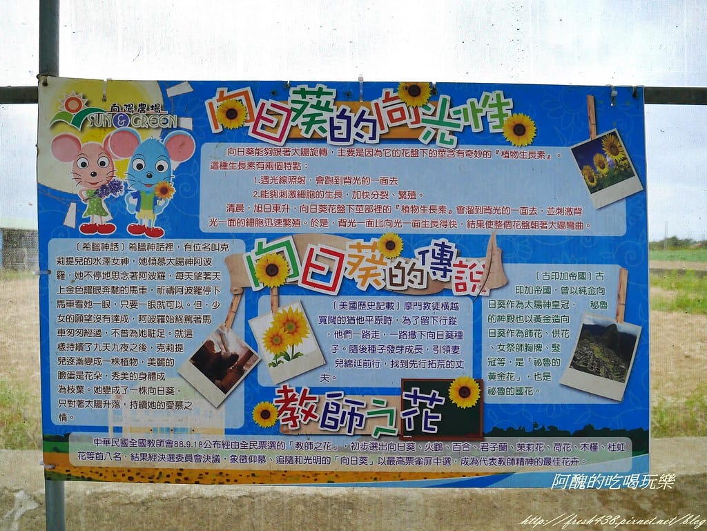 【桃園一日遊景點】向陽農場,免費入園且免費停車,烤肉控窯兼賞花,餵食動物超有趣,親子活動超多元! - 第73張圖 P2120108