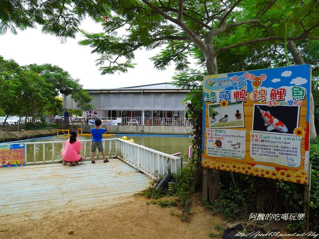 【桃園一日遊景點】向陽農場,免費入園且免費停車,烤肉控窯兼賞花,餵食動物超有趣,親子活動超多元! - 第50張圖 P2110999
