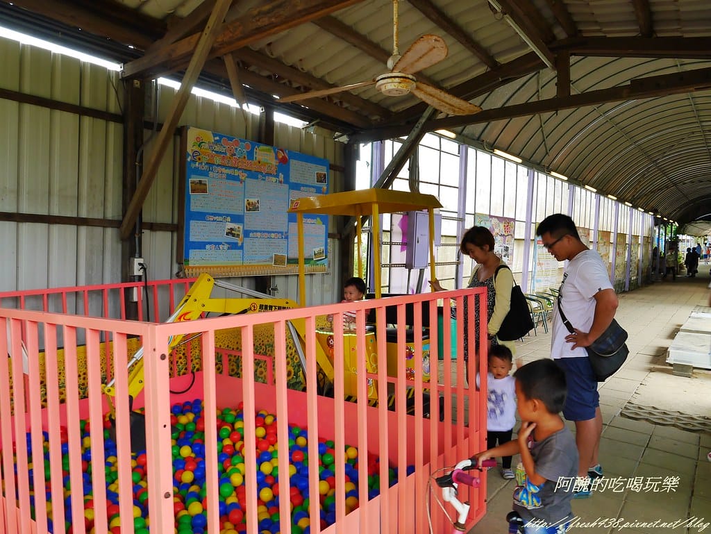【桃園一日遊景點】向陽農場,免費入園且免費停車,烤肉控窯兼賞花,餵食動物超有趣,親子活動超多元! - 第36張圖 P2120002
