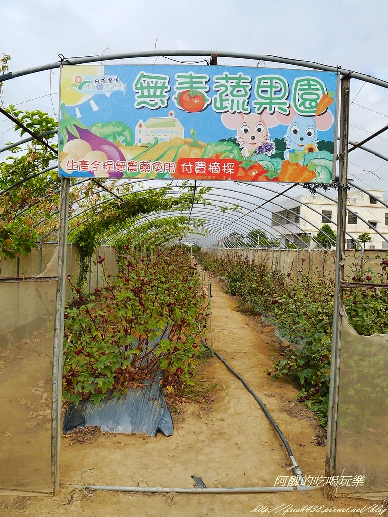 【桃園一日遊景點】向陽農場,免費入園且免費停車,烤肉控窯兼賞花,餵食動物超有趣,親子活動超多元! - 第67張圖 P2120038