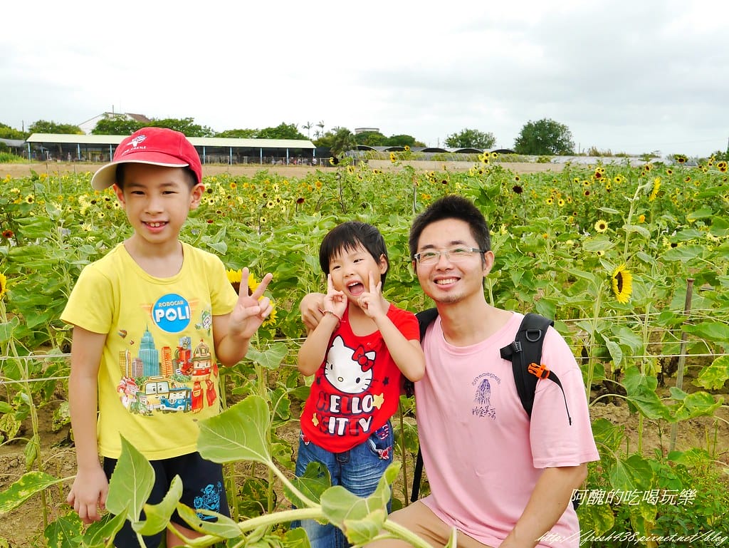 【桃園一日遊景點】向陽農場,免費入園且免費停車,烤肉控窯兼賞花,餵食動物超有趣,親子活動超多元! - 第81張圖 P2120067