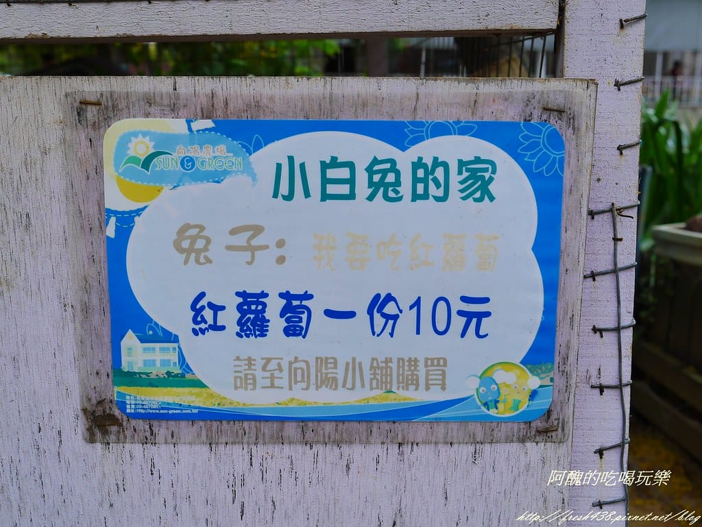 【桃園一日遊景點】向陽農場,免費入園且免費停車,烤肉控窯兼賞花,餵食動物超有趣,親子活動超多元! - 第46張圖 P2110983
