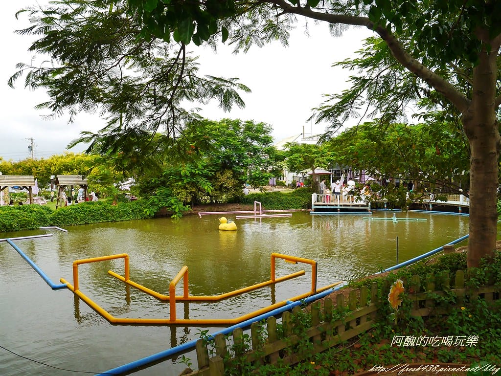 【桃園一日遊景點】向陽農場,免費入園且免費停車,烤肉控窯兼賞花,餵食動物超有趣,親子活動超多元! - 第27張圖 P2120153