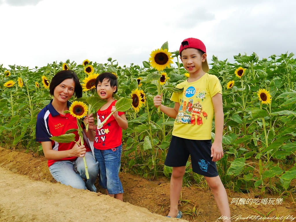 【桃園一日遊景點】向陽農場,免費入園且免費停車,烤肉控窯兼賞花,餵食動物超有趣,親子活動超多元! - 第86張圖 P2120100