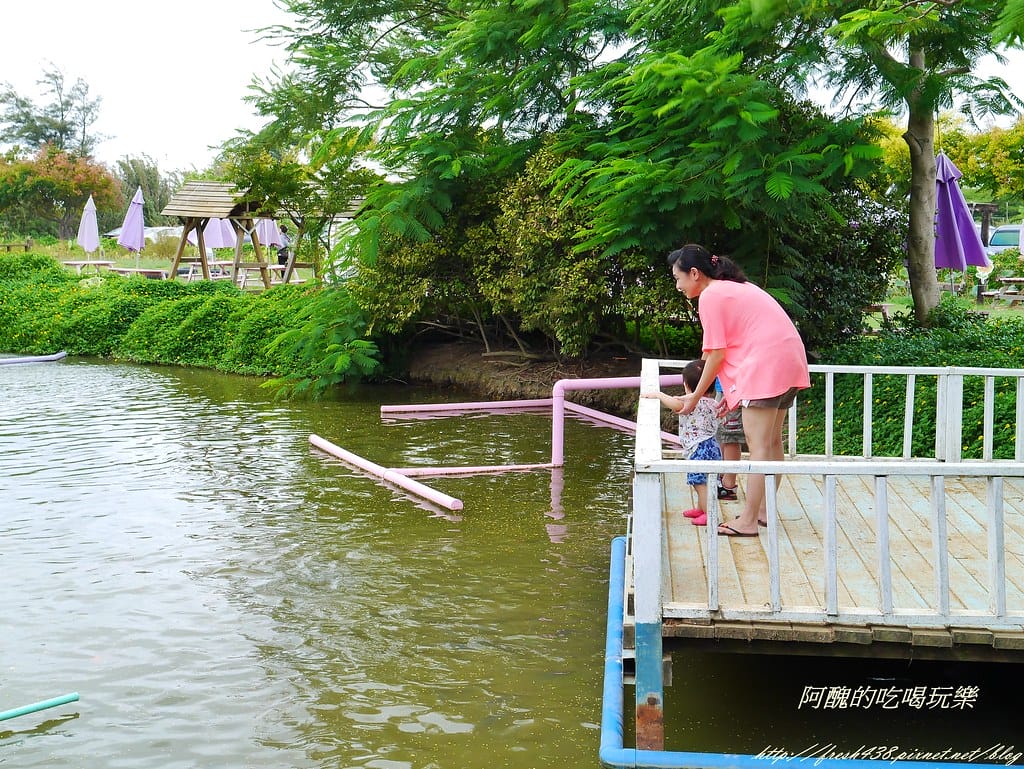 【桃園一日遊景點】向陽農場,免費入園且免費停車,烤肉控窯兼賞花,餵食動物超有趣,親子活動超多元! - 第52張圖 P2110997