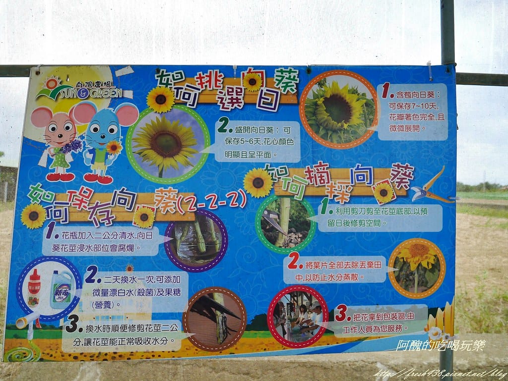 【桃園一日遊景點】向陽農場,免費入園且免費停車,烤肉控窯兼賞花,餵食動物超有趣,親子活動超多元! - 第74張圖 P2120109