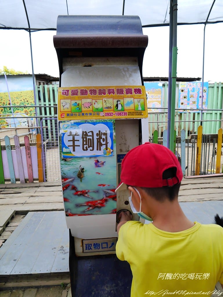 【桃園一日遊景點】向陽農場,免費入園且免費停車,烤肉控窯兼賞花,餵食動物超有趣,親子活動超多元! - 第54張圖 P2120008