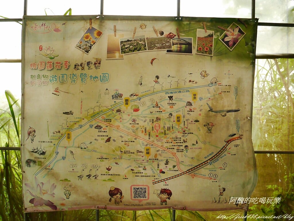 【桃園一日遊景點】向陽農場,免費入園且免費停車,烤肉控窯兼賞花,餵食動物超有趣,親子活動超多元! - 第26張圖 P2110966