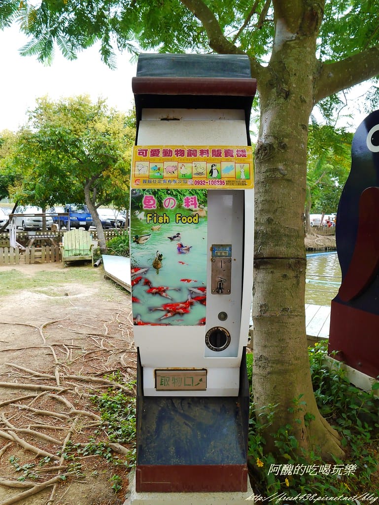 【桃園一日遊景點】向陽農場,免費入園且免費停車,烤肉控窯兼賞花,餵食動物超有趣,親子活動超多元! - 第51張圖 P2120001