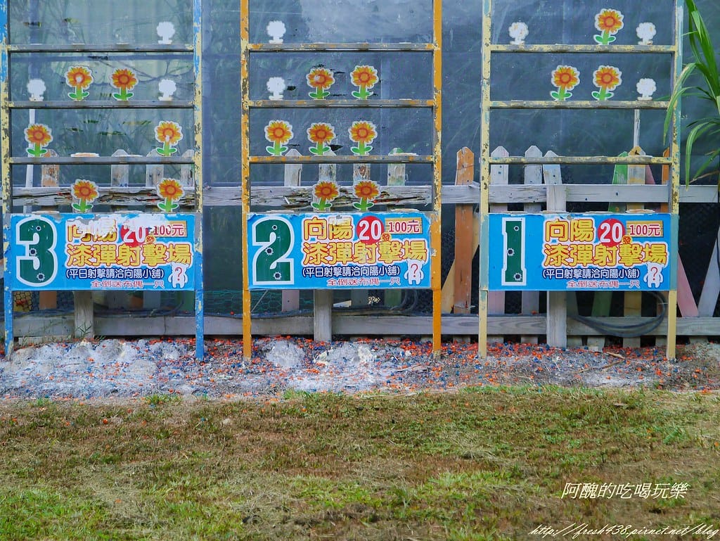 【桃園一日遊景點】向陽農場,免費入園且免費停車,烤肉控窯兼賞花,餵食動物超有趣,親子活動超多元! - 第61張圖 P2120047