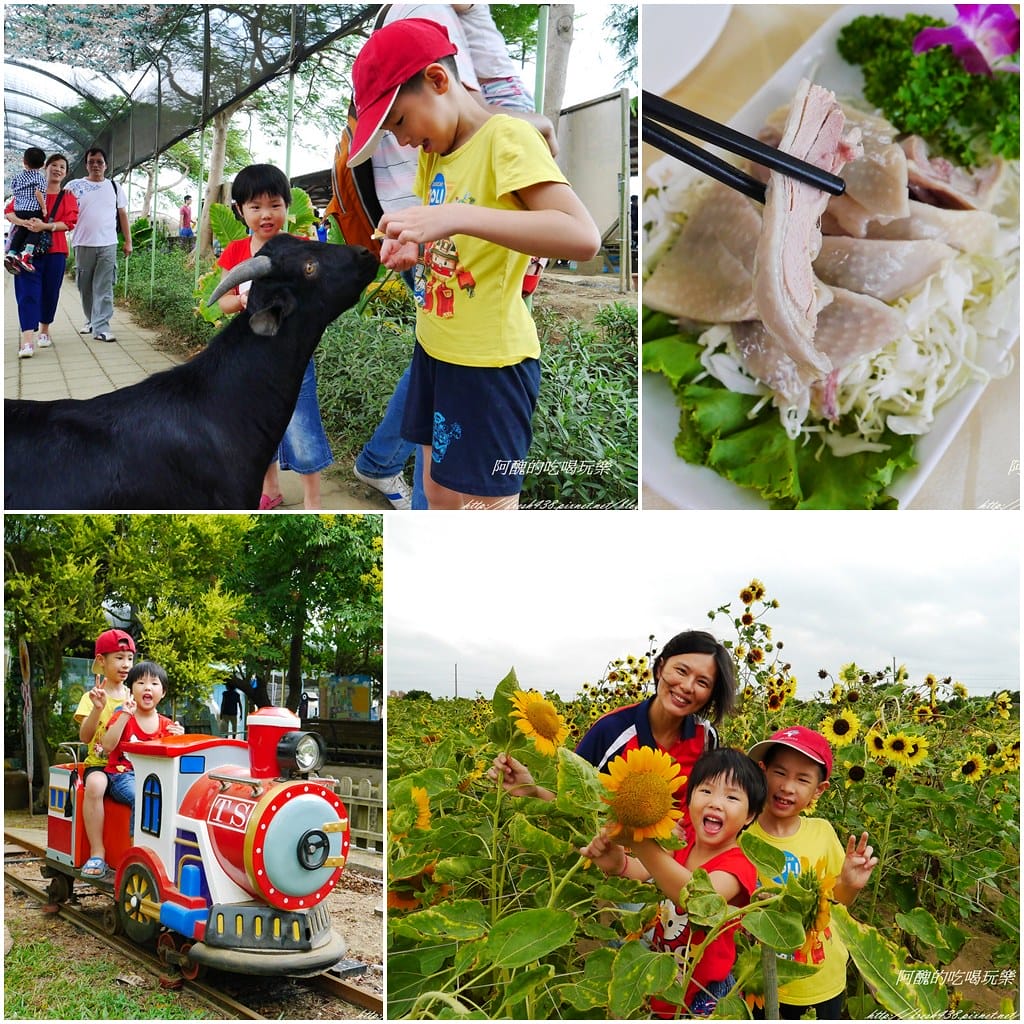 【桃園一日遊景點】天御花園、大溪橋,免費入園、輕鬆溜小孩的好去處。 - 第65張圖 page