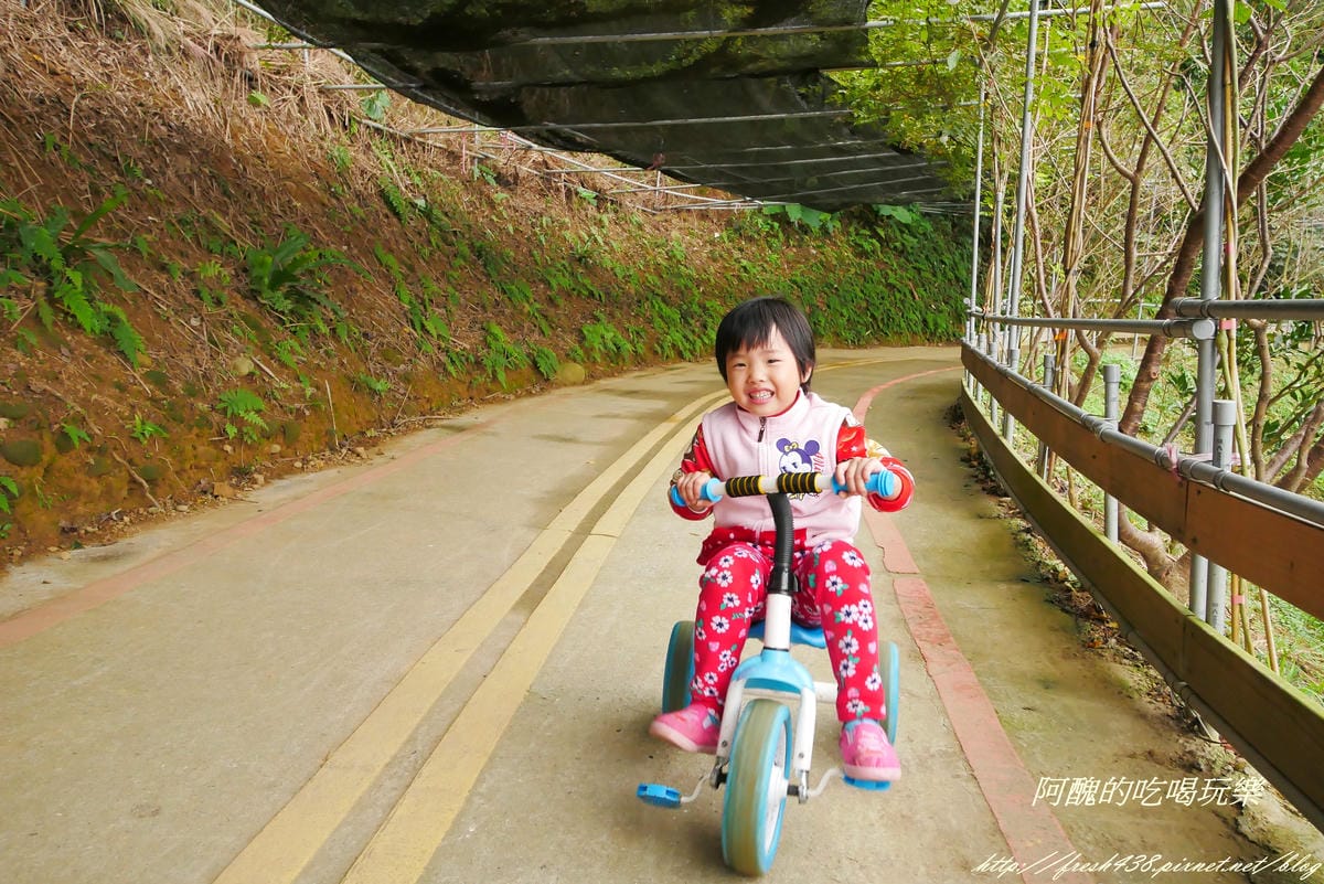 P1300513 P1300513