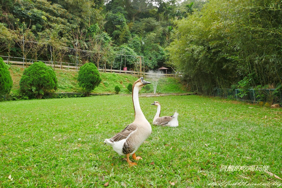 P1300460 P1300460