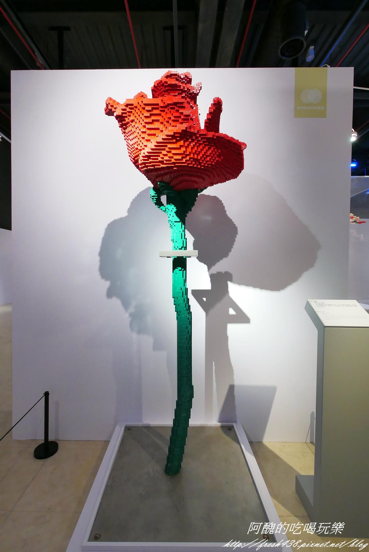 P1310120 P1310120