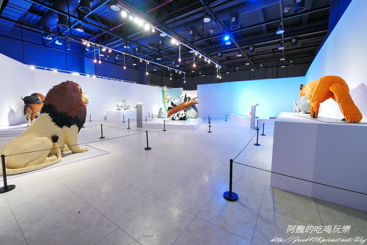 P1310103 P1310103