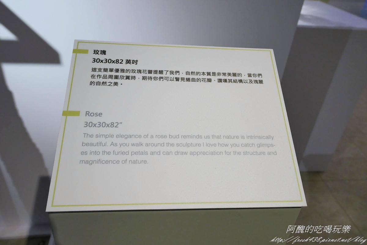 P1310119 P1310119