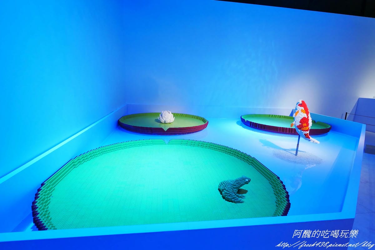 P1310111 P1310111