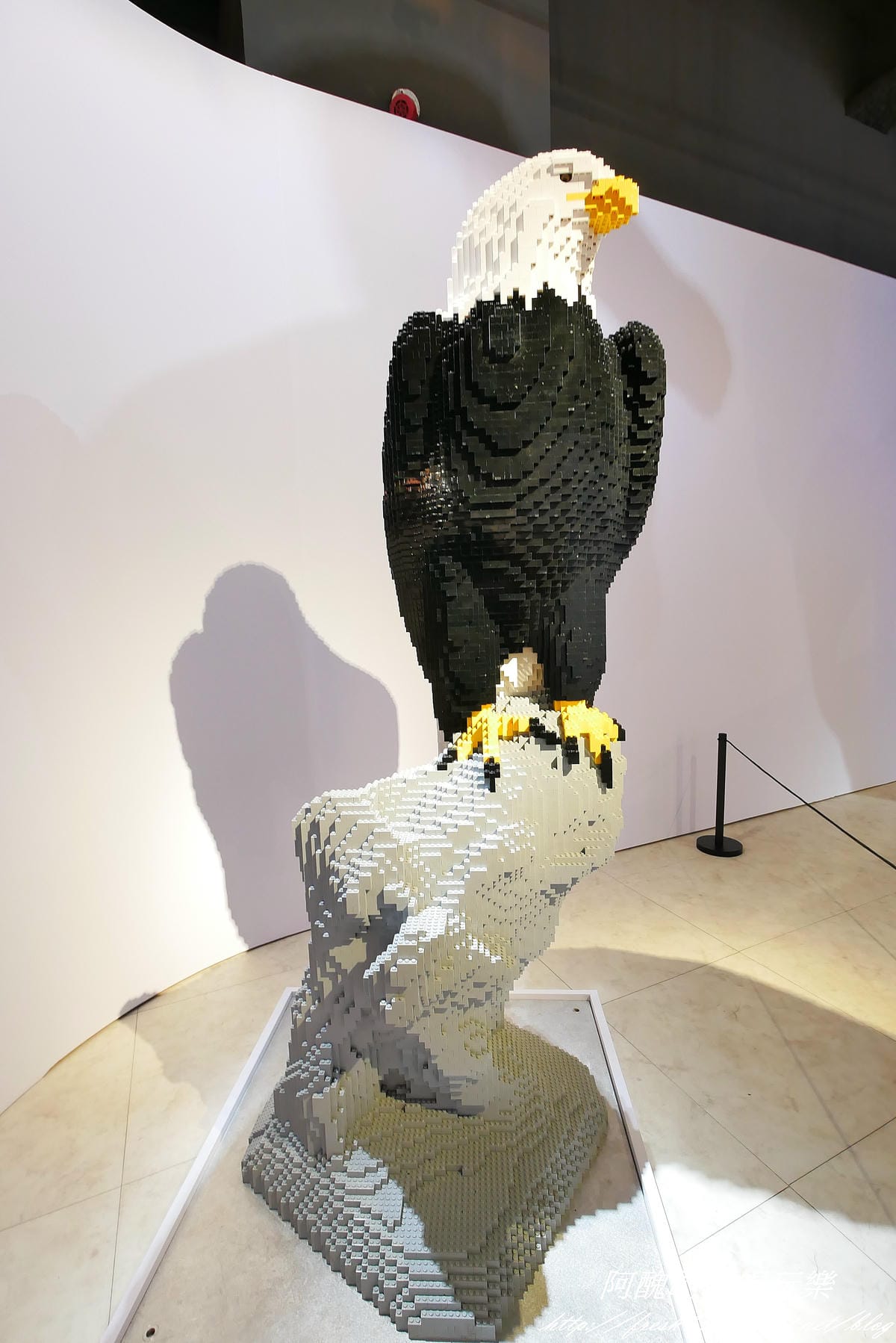 P1310080 P1310080