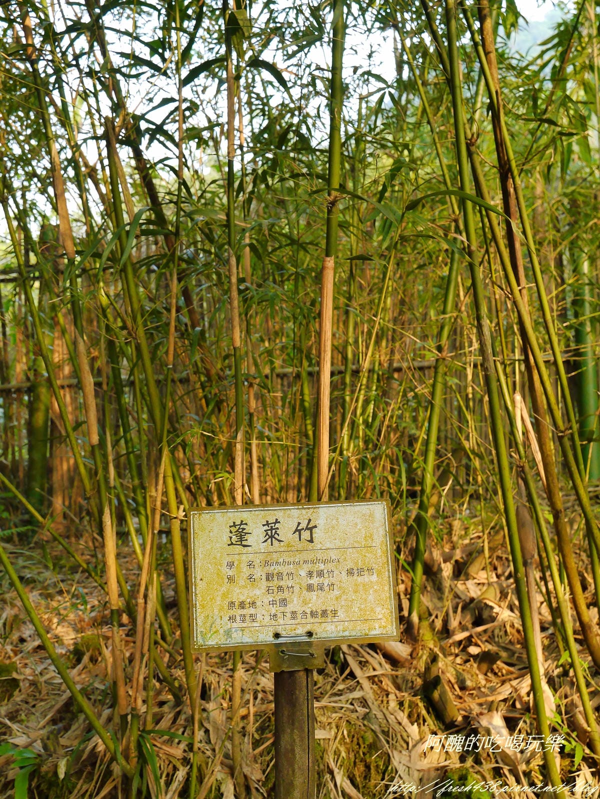 P2230391