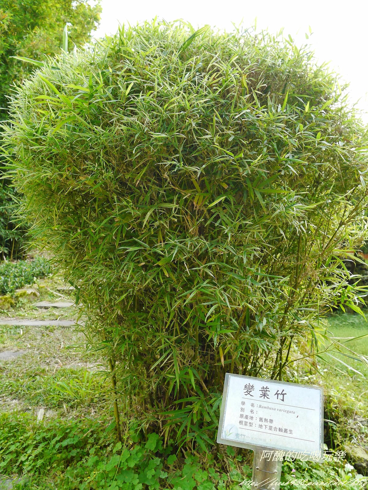 P2230387