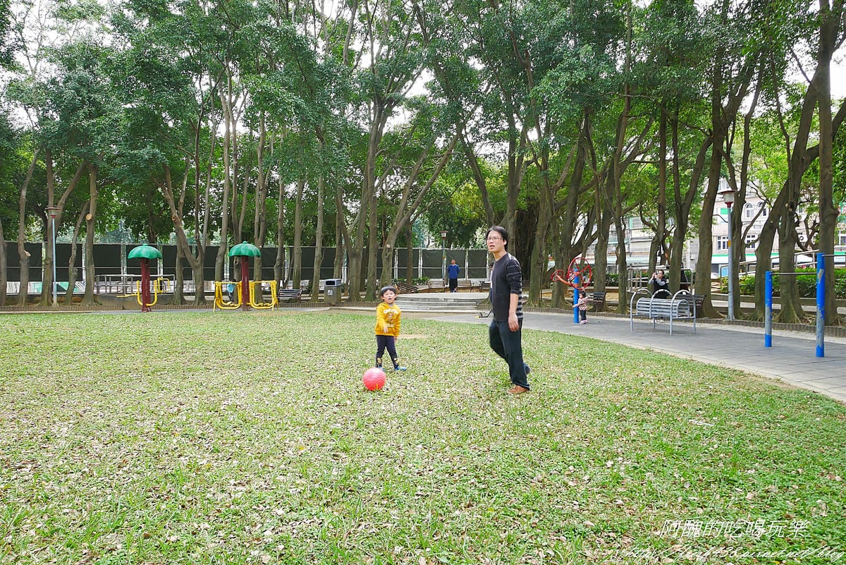 P1350065 P1350065