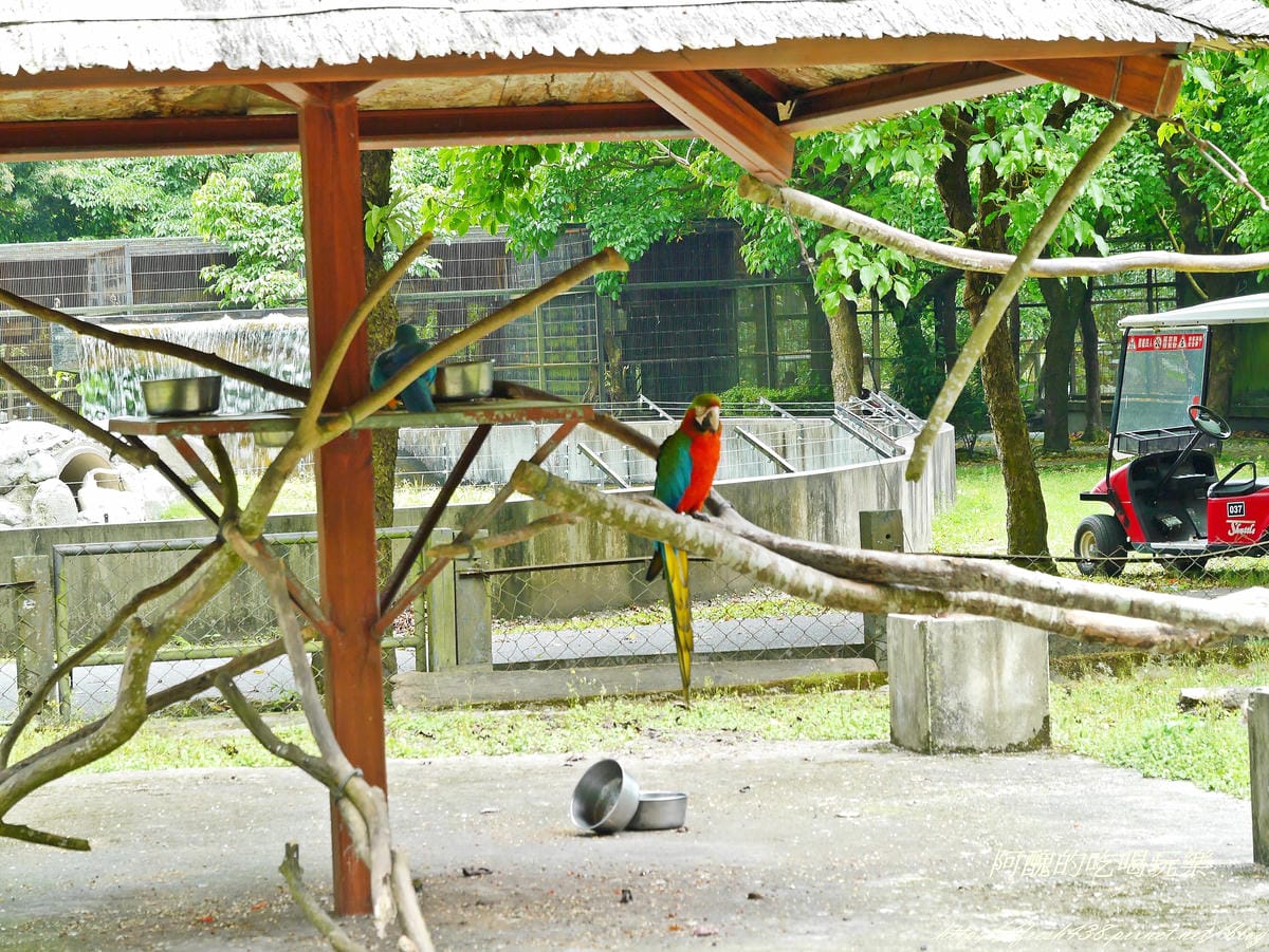 P2270482 P2270482