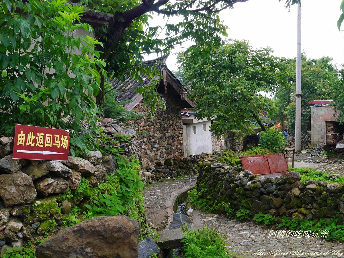 P2350951 P2350951