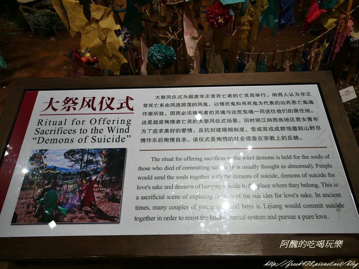 P1410830 P1410830