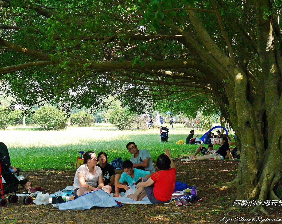 P2380051 P2380051