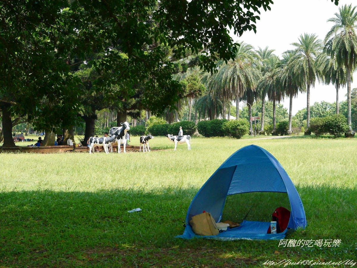 P2380050 P2380050