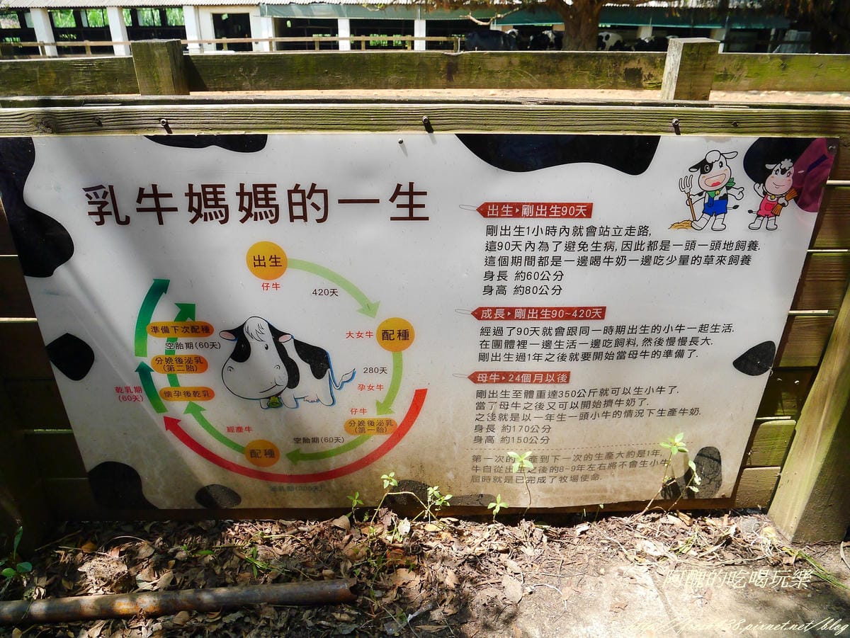 P2370995 P2370995