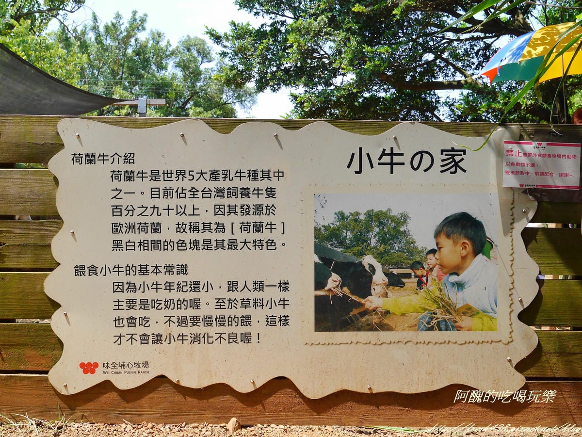 P2380012 P2380012