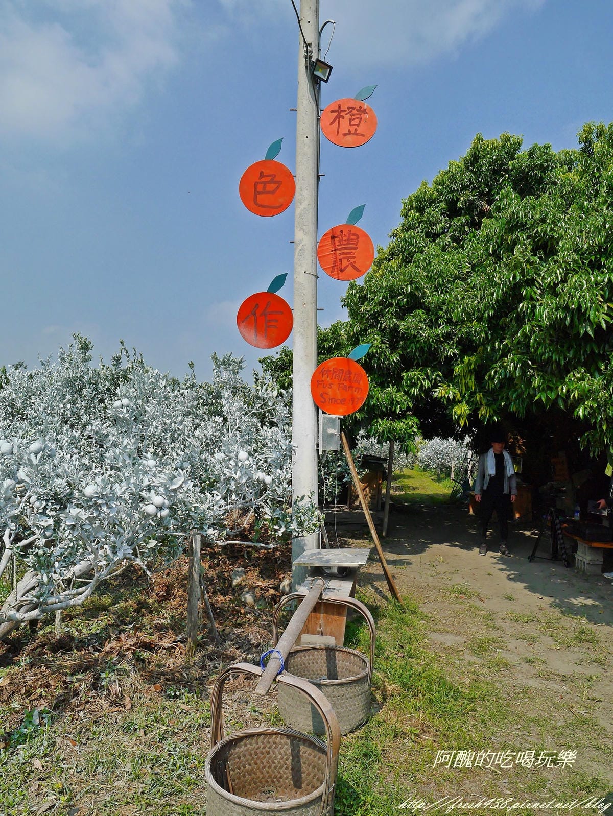 P2380069