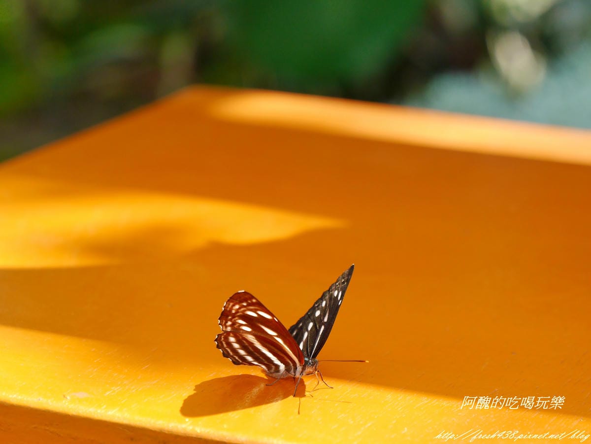 P2390347