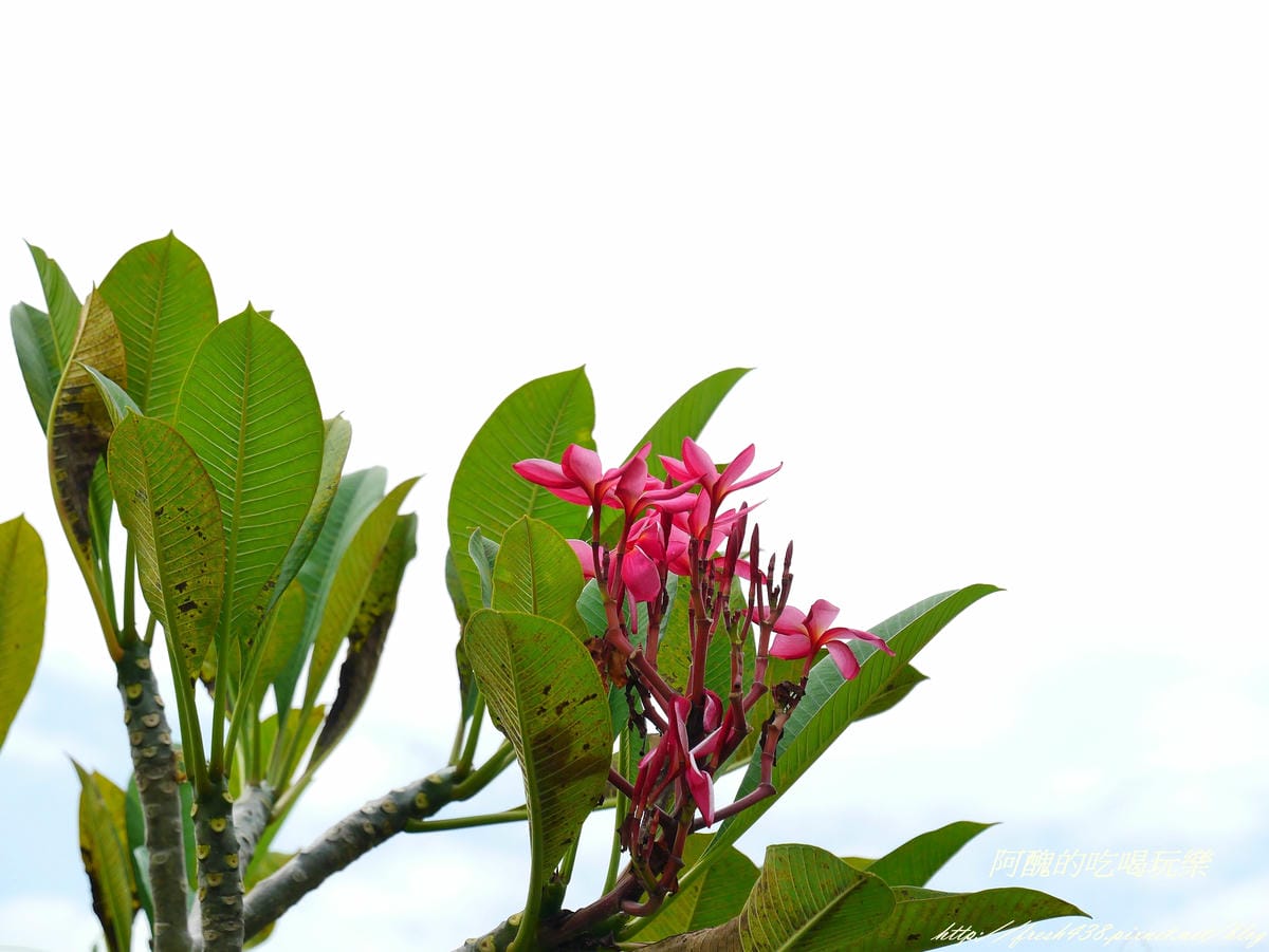 P2390333