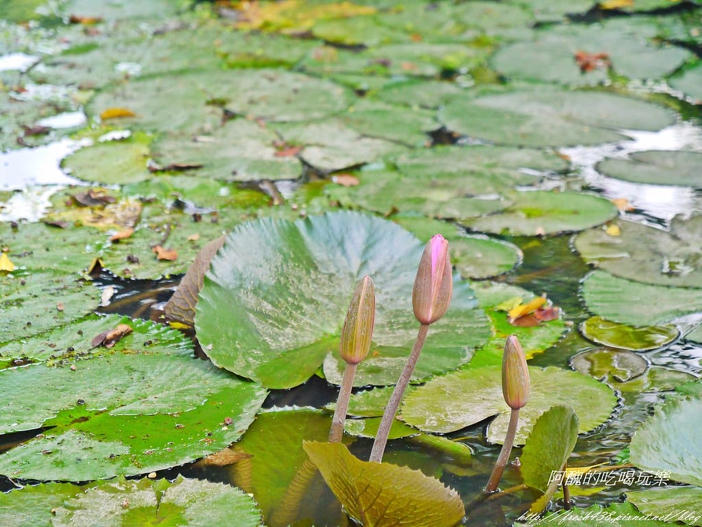 P2400890
