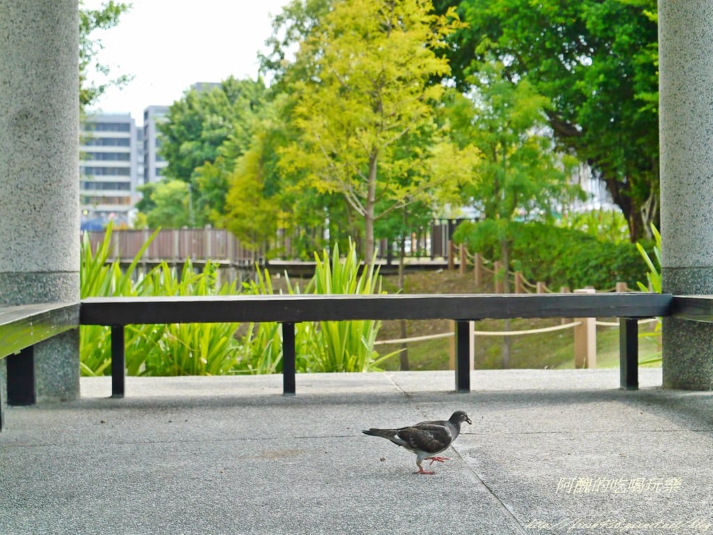 【北投建案】裸心-聽澗,樂活養生新住宅,為您打造健康優質人生,許您輕鬆漫遊的好生活! - 第9張圖 P2400508
