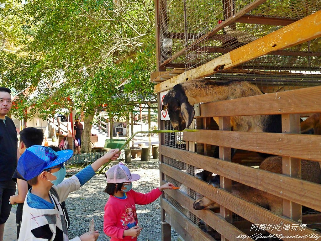 【宜蘭免費景點】長埤湖風景區,餵小動物、騎碰碰車、玩盪鞦韆、欣賞湖景、附設露營區,三星鄉親子旅遊好去處。 - 第15張圖 P2420478