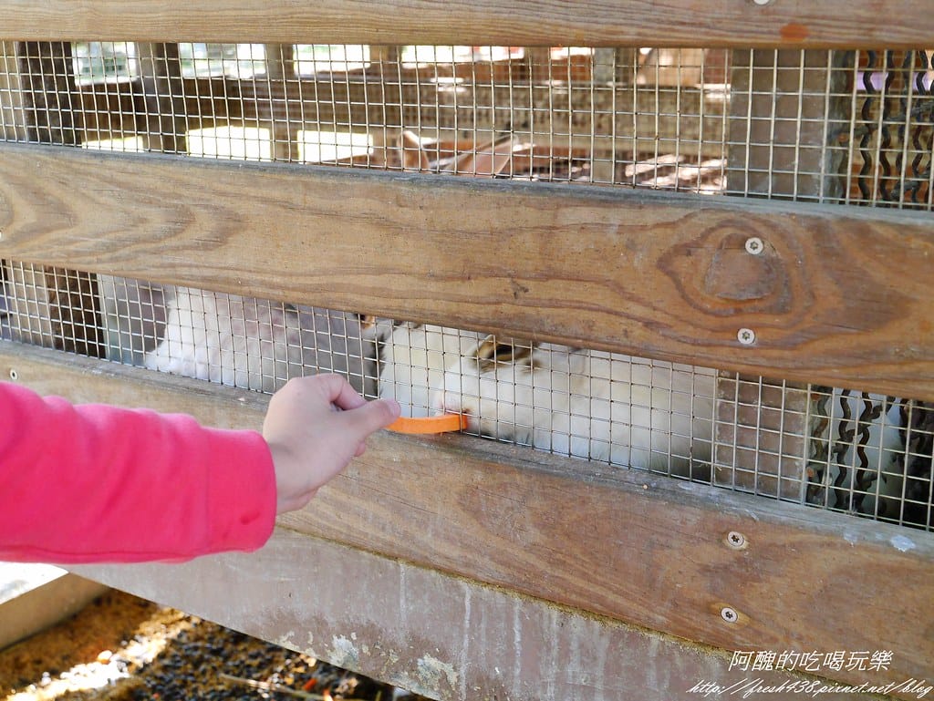 【宜蘭免費景點】長埤湖風景區,餵小動物、騎碰碰車、玩盪鞦韆、欣賞湖景、附設露營區,三星鄉親子旅遊好去處。 - 第14張圖 P2420466